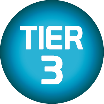 Tier 3