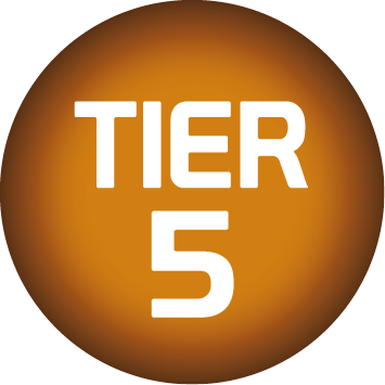Tier 5